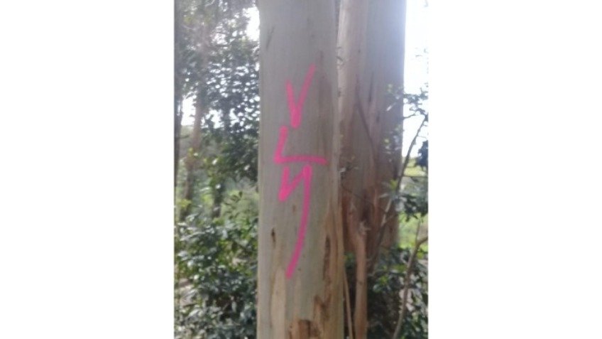 Vandalismo en la sierras